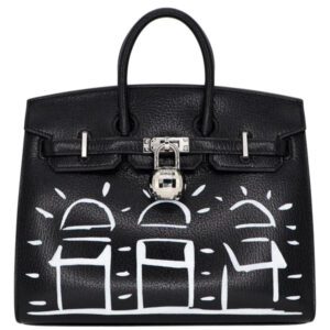 Hermès 20cm Birkin Sellier Disco Chèvre Leather Palladium Hardware